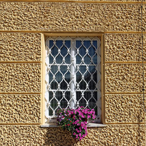 Special Offer Professional Manufacturer House Wrought Iron Grills Windows And Doors Design - Product Image 1