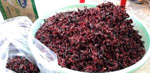 ATISO ALTA CALIDAD-EL MEJOR PRECIO 2024 - Product Image 3