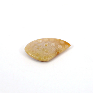 ปะการังธรรมชาติ31X18มม. Cabochon แฟนซี3.73 Gms อัญมณีหลวมสำหรับทำเครื่องประดับ - Product Image 2