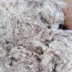 Lickerin un B & B grado/tarjeta volar/plano de desechos de algodón-La sra. Claire - Product Image 3