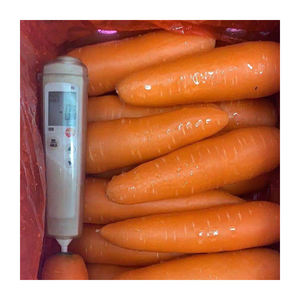 Carottes fraîches biologiques 1 KG, variété rouge longue de haute qualité, Afrique du Sud, prix de gros compétitif - Product Image 2