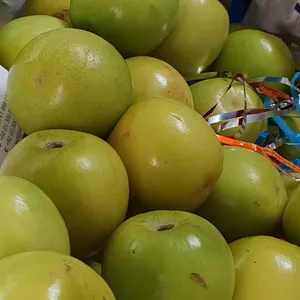 Stein apfel frisches Obst aus Pakistan