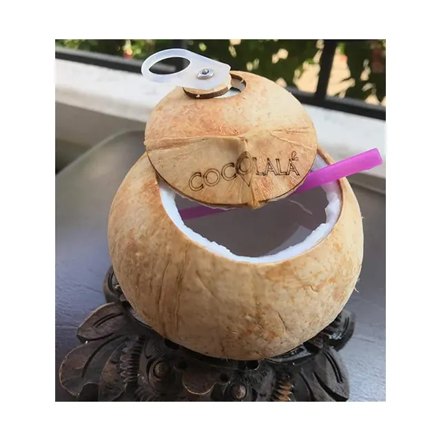 Lid Easy to Open Fresh Coconuts Good price/ Ring pull coco/ Easy Drink Premium Green Coconuts From Vietnam (Kaylin +84817092069)