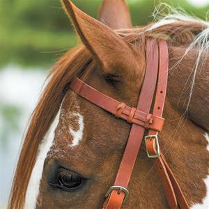 Harnais double S de qualité supérieure en cuir, bride à traction latérale, muserolle décorative, équipement d'équitation anglais durable - Product Image 3
