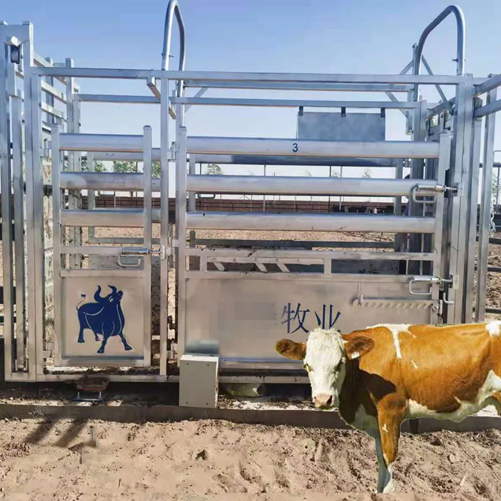 Portable super standard cattle crush cattle squeeze chute for sale(XMR)