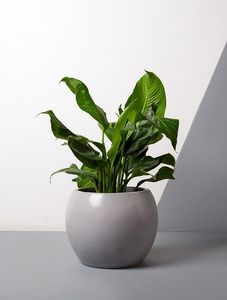 Hot Selling Attractive Customized Design Eco-Friendly Iron Powder Coated <b>Flower</b> Pots for Indoor and Outdoor Plants Multi Color - Product Image 3