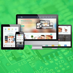 Best SEO Services in India | Professional SEO Company in USA by SEO Services USA | Top Notch SEO Services by Webroot Infosoft - Product Image 5