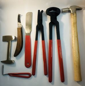 Kit de Herrador para el Cuidado de Pezuñas de Caballos e Instrumentos Quirúrgicos Veterinarios, Herramientas Manuales de Clase I con Certificación CE - Product Image 5