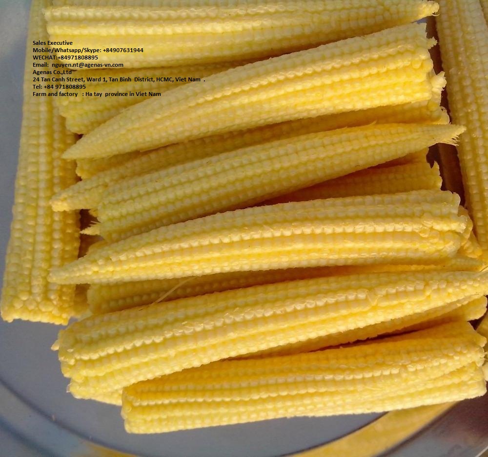 Замороженный ребенок кукуруза молодая кукуруза натуральный сладкий лучшее качество агины Вьетнам без ГМО
