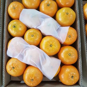 ที่ดีที่สุดคุณภาพสดหวาน Juicy วาเลนเซียส้มเกรด A-ขายส่ง/ - Product Image 2