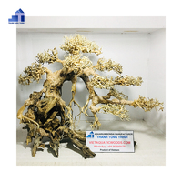 2025 haute qualité bonsaï bois flotté pour Aquarium décoration boîte emballage en gros du Vietnam fabricant prix compétitifs