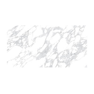 Nouveau Design Carreaux D'intérieur 600*1200 Carreaux Rustiques Pour Sol Salle De Bains Carreaux De Porcelaine En Céramique - Product Image 1