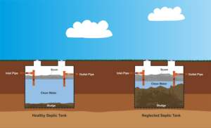 ผลิตภัณฑ์เอนไซม์แบคทีเรียสำหรับถังบำบัดน้ำเสียและห้องน้ำ - Product Image 3