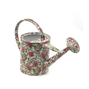 Arrosoir en acier galvanisé à motif floral pour la décoration de jardin, accessoires, OEM personnalisé, arrosoir d'extérieur et d'intérieur - Product Image 1