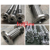 TOTFLEX TFX-FMH-001 Tuyau tressé en acier inoxydable ondulé de type à bride, résistant à la corrosion industrielle, AISI 304, DN10-DN200, pour l'eau