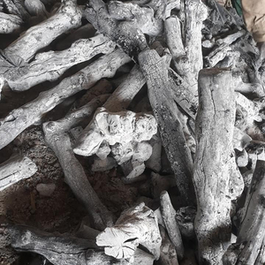2020 Offres Spéciales de charbon de bois blanc de haute qualité longue durée de combustion narguilé écologique à faible teneur en cendres échantillon gratuit Viet Nam prix compétitif