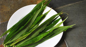 Fertilizante microbiológico natural, la mejor calidad, gran oferta - Product Image 5