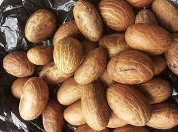 אפריקה Garcinia קולה טרי המר אגוז קולה Kolanut קקאו שעועית תמצית אבקה - Product Image 2