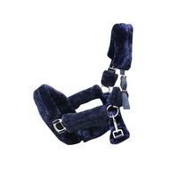 Halters en molleton coloré rembourré