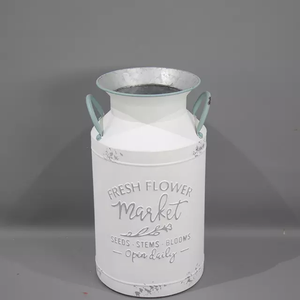 Ensemble de deux conteneurs plastiques de jardin, conteneur métallique galvanisé, creux - Product Image 3