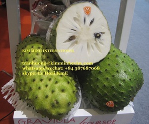 ผลไม้เมืองร้อนผลไม้ส่งออกจากเวียดนาม - Product Image 2
