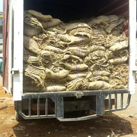 Bolsa de yute hecha en África para embalaje de granos de café, saco de yute, 50kg