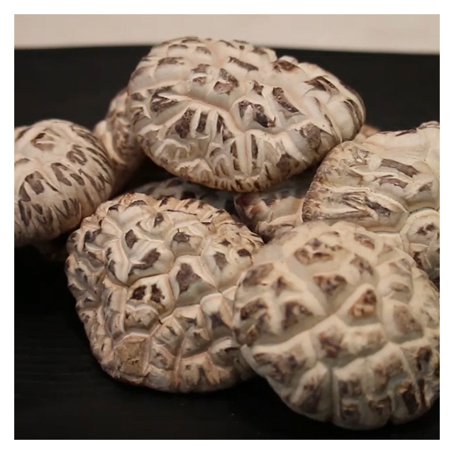 Wholesale Mushroom cutted dried truffle white flower Dongko from South Korea