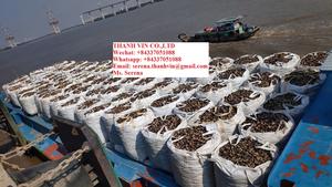 Haute qualité Riz Husk Briquette Charbon de bois Long temps de combustion Respectueux de l'environnement Prix compétitif Échantillon gratuit du Viet Nam - Product Image 2