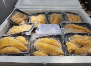 ทุเรียนอินทรีย์สดและแช่แข็งจากเวียดนามข้อมูลทองคำ99คุณภาพสูง - Product Image 3