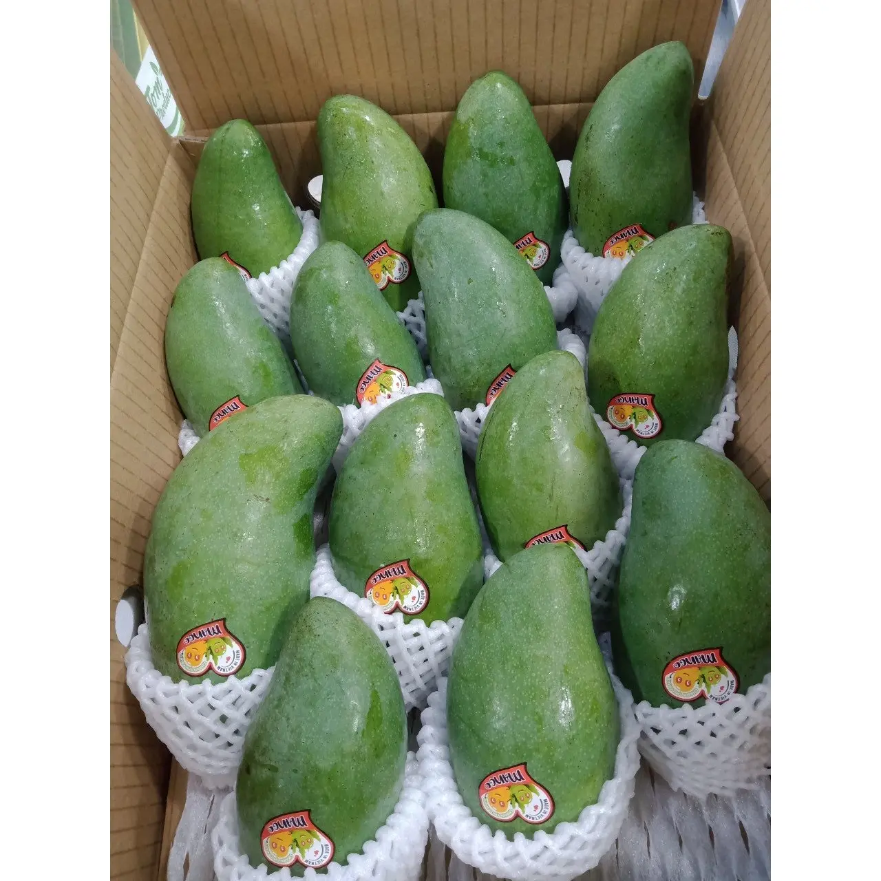 200-1100 г/фрукты, Высококачественная картонная коробка, упаковка, зеленый цвет, общий тип культивирования, сладкий вкус, манго, экспорт из Вьетнама