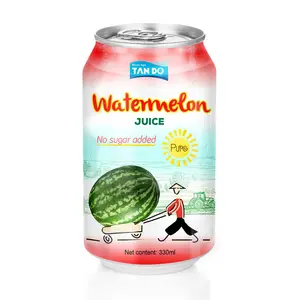 Made in Vietnam 330ml Aluminum can private label exotic fruit watermelon fresh juice