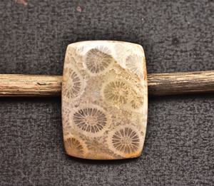 ปะการัง Cabochon AAA + Fosil หินปะการังสำหรับเครื่องประดับทุกประเภทรูปร่างผสมสำหรับการออกแบบเครื่องประดับราคาขายส่ง - Product Image 2