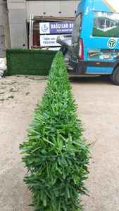 Barrière de clôture d'herbe verte fabriquée en Turquie qui peut être utilisée pour la sécurité ou une clôture mobile facile à transporter fournitures de jardin plantes - Product Image 5