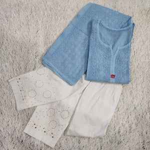 Elegante diseño largo de panel de algodón Kurti Kota Chikankari con bordado de hilo blanco y Mukesh para mujer Ropa Étnica 2021 - Product Image 5