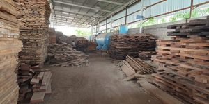 Cuenco de madera de árbol de Mango para servir, las mejores ofertas, artículo multitipo, queso y galletas, en venta - Product Image 5