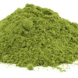 Organic High Pure Vietnamese Moringa Powder Moringa Oleifera Powder Moringa Leaf Extract Powder Wholesale Bulk