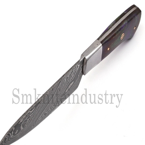 Hand Forged Damascus Steel <b>Kitchen</b> Chef <b>Knife</b> With Leather Sheath Cover (Smk1570) - Product Image 3
