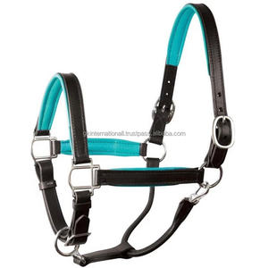 Licou de cheval en cuir, licou Durable, avec coussinet coloré en néoprène souple et cou, matériel en laiton robuste - Product Image 3