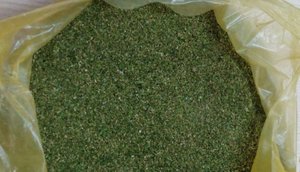 Poudre d'algues vertes pures ULVA LACTUCA pour l'alimentation animale, certifiée HACCP et ISO, emballée en sac - Product Image 5