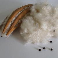 Matériau de Remplissage en Fibres de Kapok Naturelles Brutes Enterenprise Écologique pour Matelas et Oreillers KP001 Propinsi Jawa Tengah