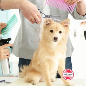 Tijeras curvadas de 7 pulgadas para aseo de perros, para adelgazamiento de perros, con 32 dientes, de acero inoxidable, japonesas - Product Image 6