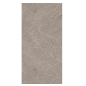 Azulejos de Porcelana Gris Digital 30 x 60, 60 x 60, 60 x 120 para Pared y Suelo, Serie Lisa PGVT - Product Image 5