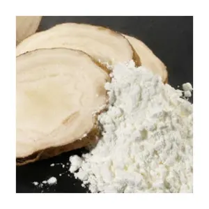 FACTORY MODIFIED TAPIOCA STARCH FOR ADHESIVE INDUSTRY - HIGH QUALITY PRE-GELATINIZED STARCH WHOLESALE 0084817092069 WS