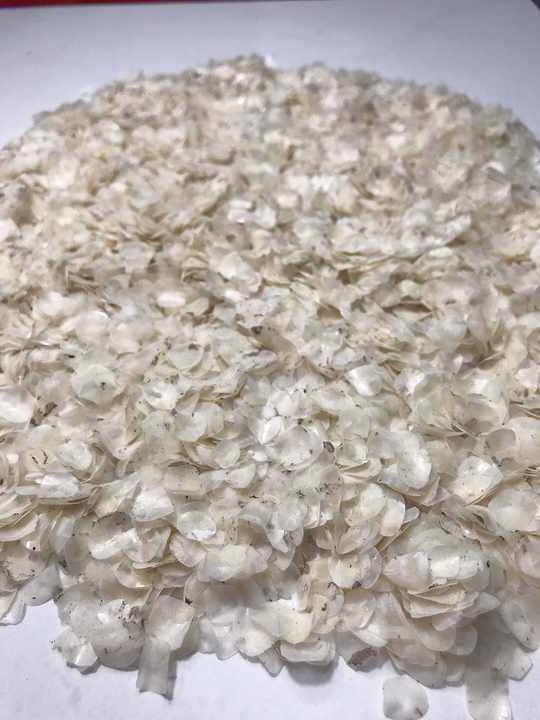 Decalcified Fish Scales/ Raw Dried Fish Scales for Gelatin Industry