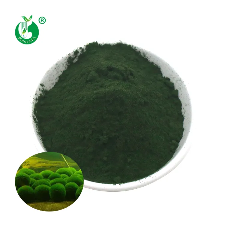 Bán Trực Tiếp Nhà Máy OEM Nhãn Hiệu Riêng Tự Nhiên Hữu Cơ Pyrenoidona Vulgaris Chlorella Bột