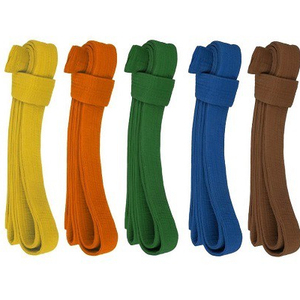 Ceinture pour loisir créatif, 100% coton doux, sur mesure, pour tout type des arts martiaux, Jiu jitsu, Krate, Judo, Taekwondo, livraison gratuite - Product Image 1
