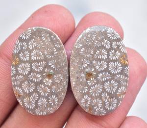 Fósil Natural de Coral, piedra semipreciosa de tamaño libre, par de gemas - Product Image 5