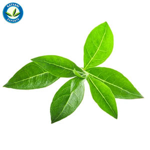 Huile essentielle de henné Attar en vrac en gros: Fournisseur 100% naturel et biologique pour la revitalisation de la peau et l'aromathérapie - Product Image 3