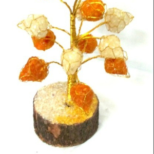 Mejor vendedor de amarillo y blanco flor cayó del árbol: amarillo y blanco flor cayó árbol en venta - Product Image 1