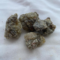 Hutan Hitam Resin Kemenyan